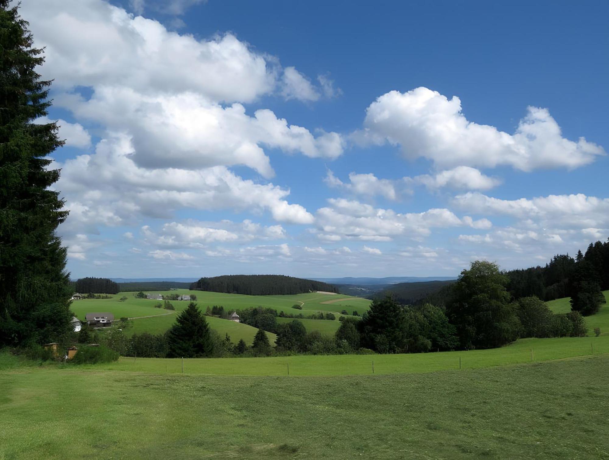 Ferienhaus Isele Feldberg  Zewnętrze zdjęcie